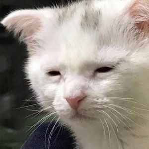 Meet your Posher, Sergey